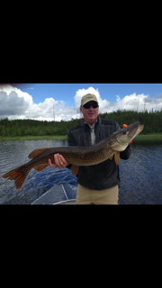 Northern Pike Caught in Reindeer Lake