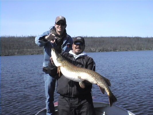Trophy Northern Pike