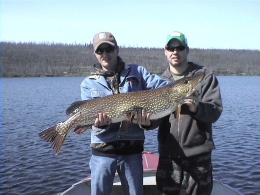Trophy Northern Pike