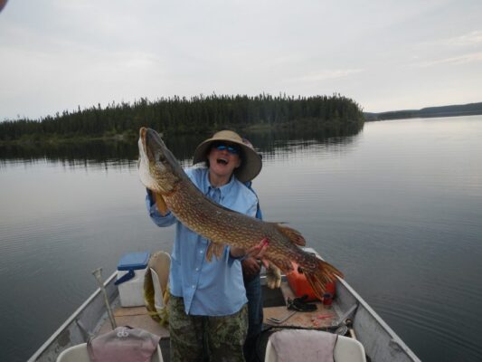 Northern Pike in Reindeer Lake