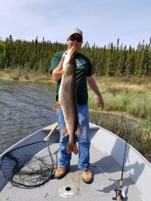 Showing off the Catch from Reindeer Lake