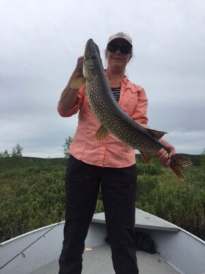 Fishing Charter on Reindeer Lake