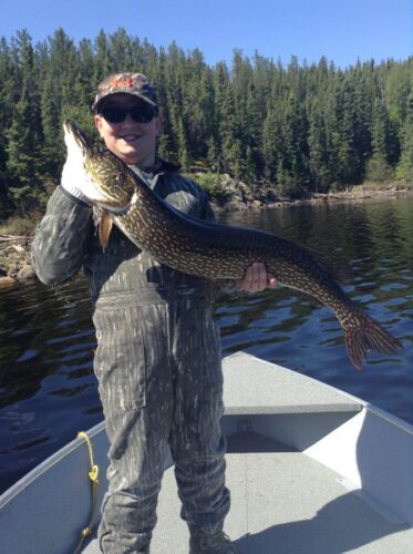 Northern Pike from Reindeer Lake